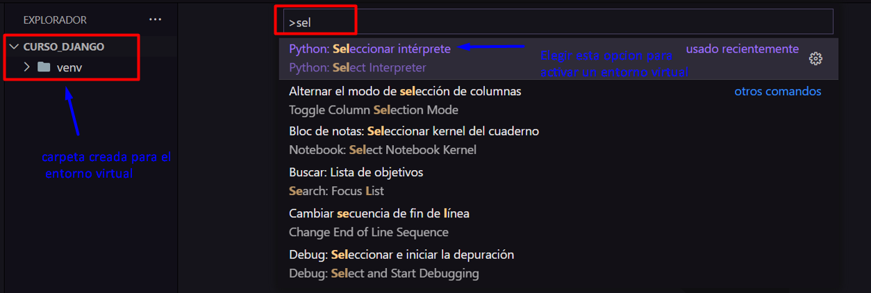 Seleccionar interprete en visual studio code